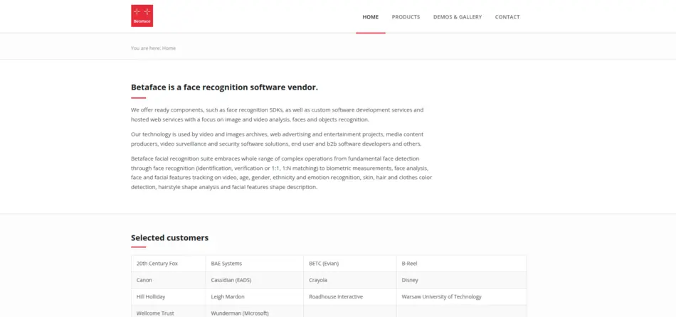 Betaface – Face Recognition API Tool