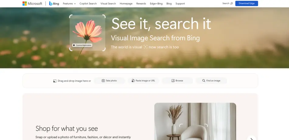 Bing Visual Search